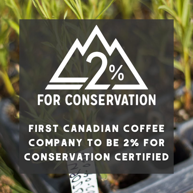 Bison - Organic Coffee (MED)
